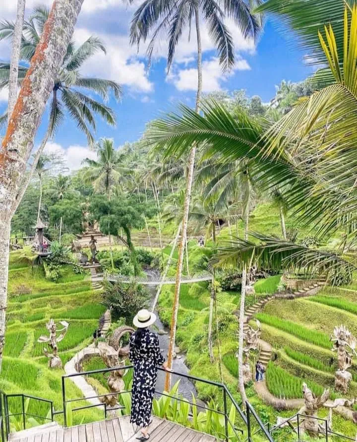 A Bali Swing over the valley