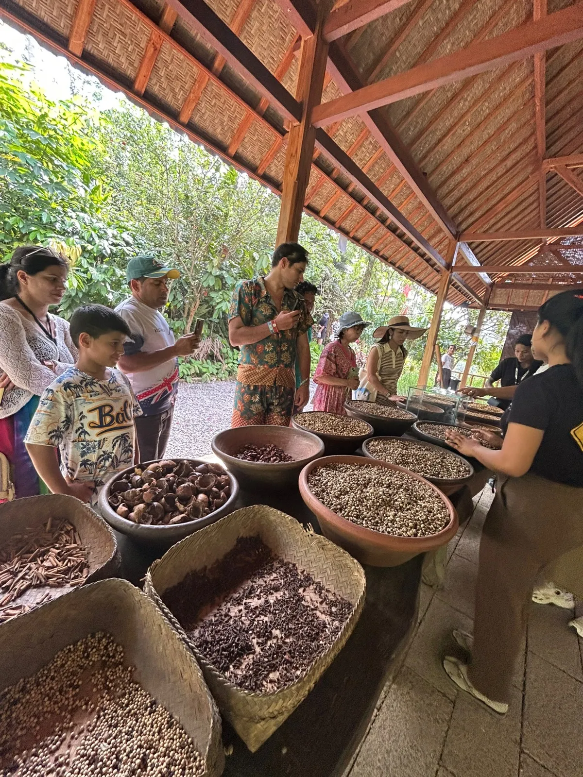 A Balinese coffee plantation