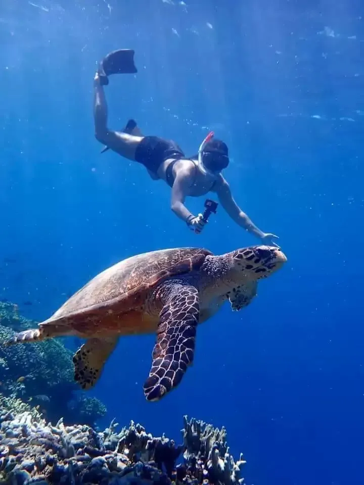 Bali Marine & Snorkeling — 1