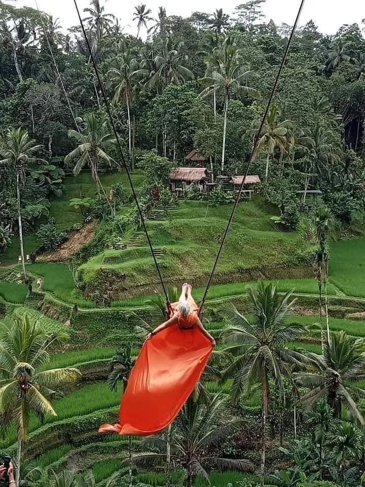 Tegallalang rice terraces